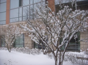 Snow- March 2013 (33)